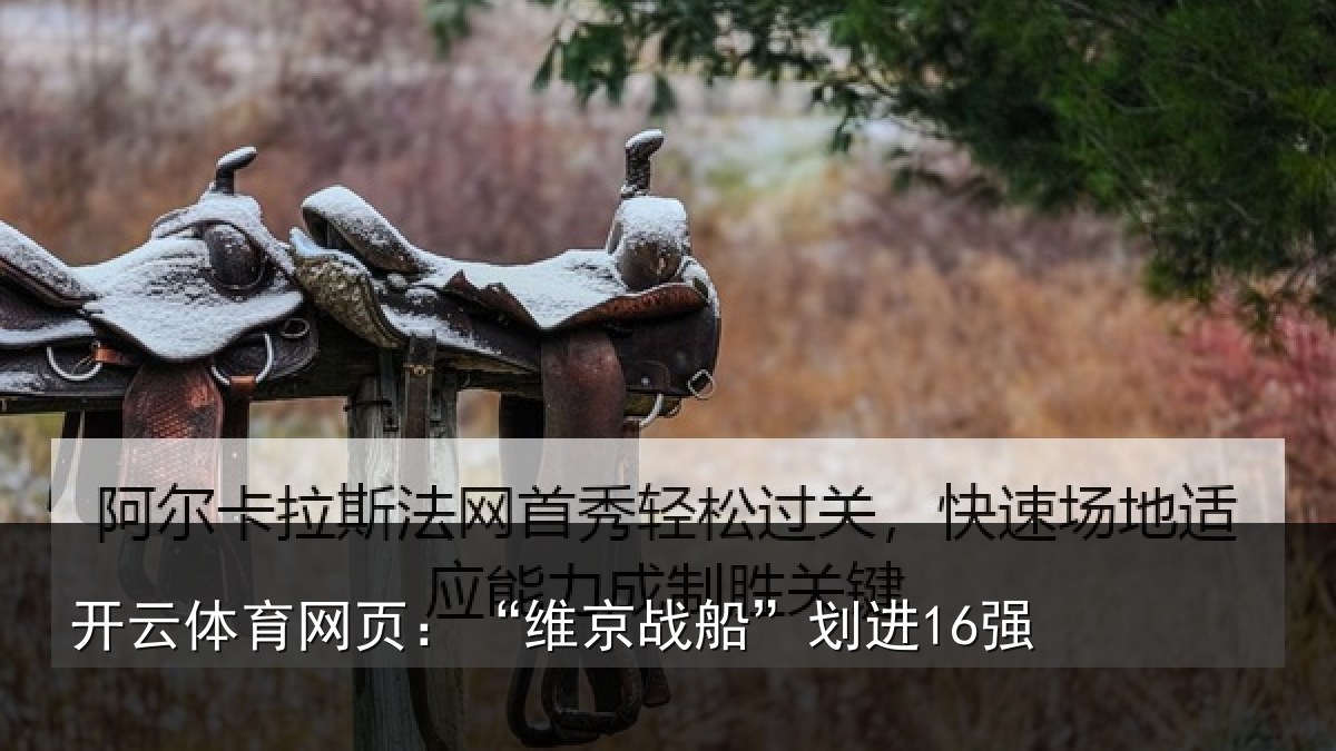 开云体育网页:“维京战船”划进16强