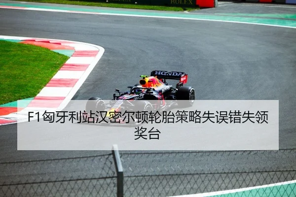 F1匈牙利站汉密尔顿轮胎策略失误错失领奖台